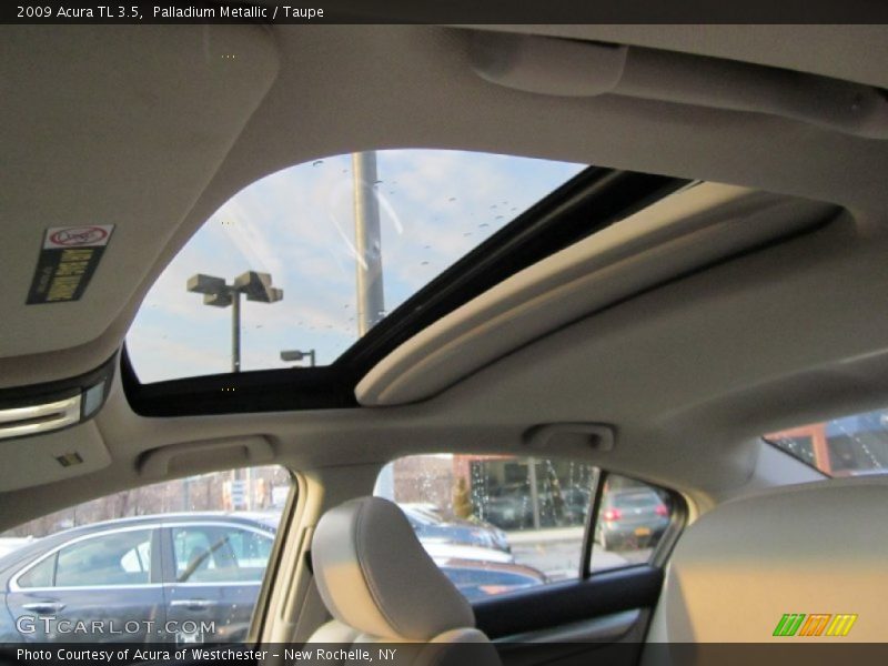 Palladium Metallic / Taupe 2009 Acura TL 3.5