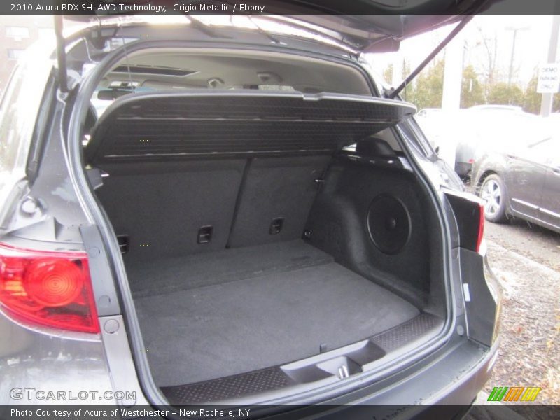 Grigio Metallic / Ebony 2010 Acura RDX SH-AWD Technology