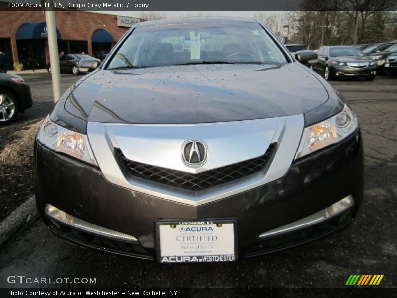 Grigio Gray Metallic / Ebony 2009 Acura TL 3.5