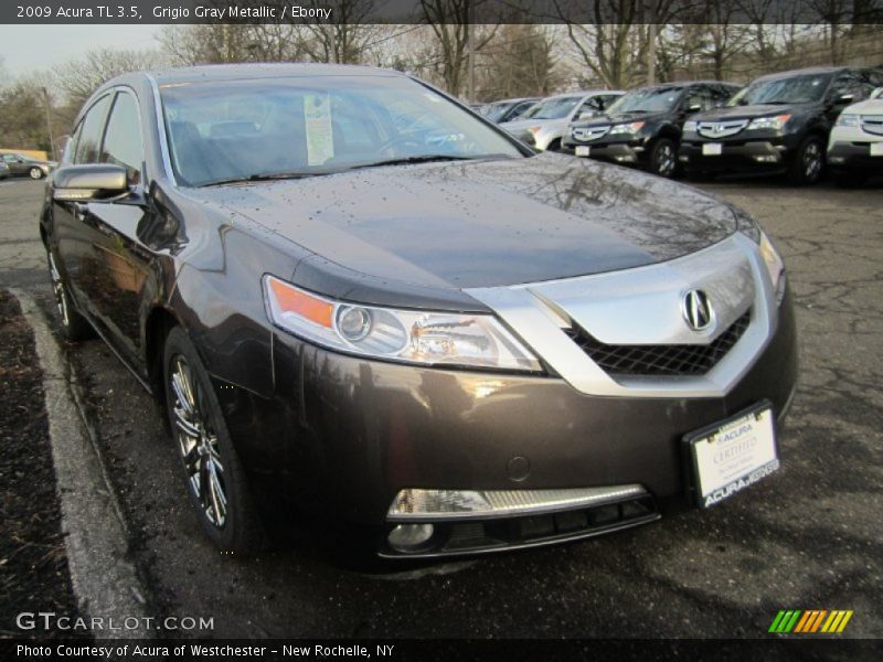 Grigio Gray Metallic / Ebony 2009 Acura TL 3.5