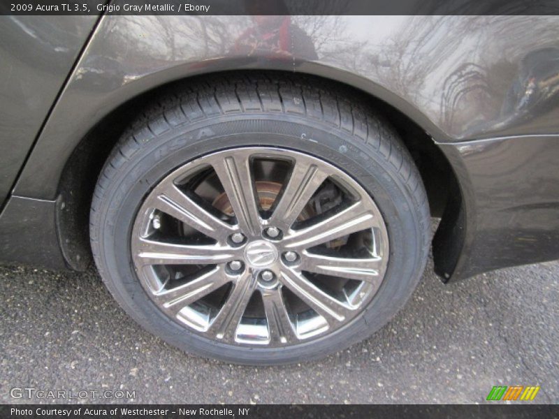 Grigio Gray Metallic / Ebony 2009 Acura TL 3.5