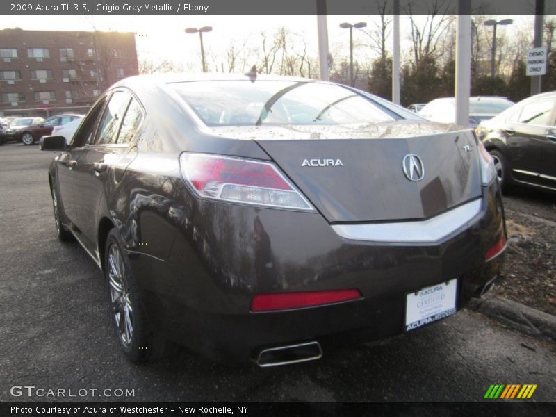 Grigio Gray Metallic / Ebony 2009 Acura TL 3.5