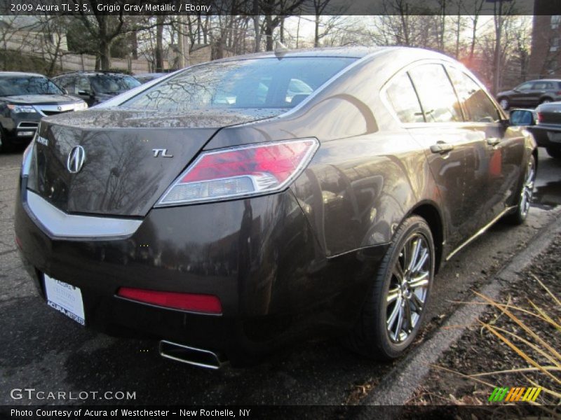 Grigio Gray Metallic / Ebony 2009 Acura TL 3.5