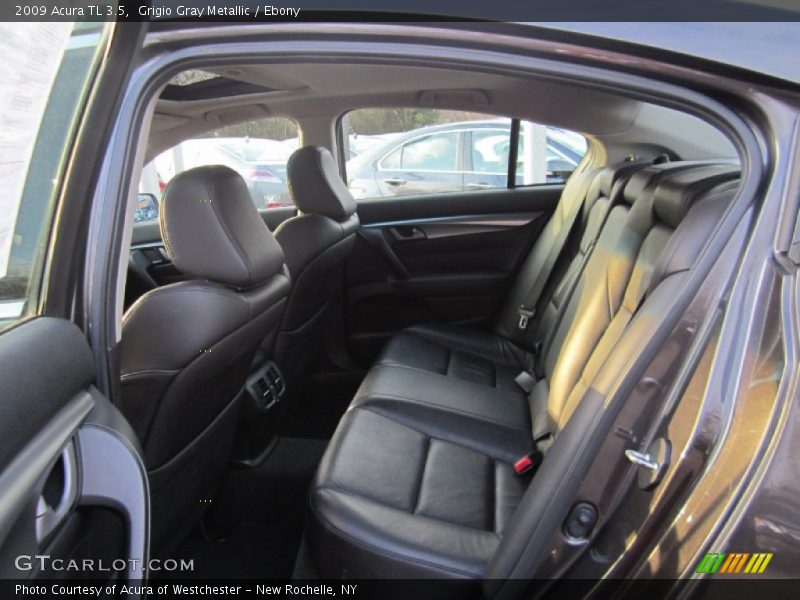 Grigio Gray Metallic / Ebony 2009 Acura TL 3.5