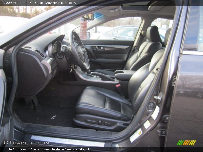 Grigio Gray Metallic / Ebony 2009 Acura TL 3.5