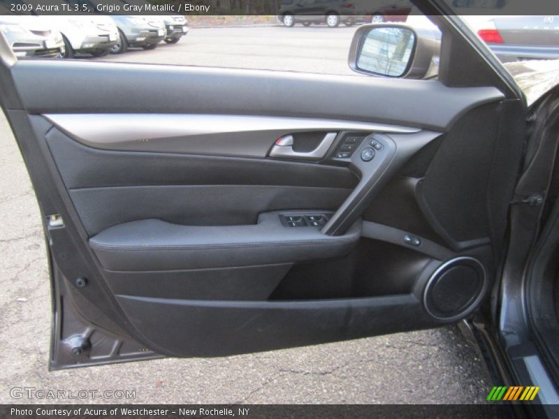 Grigio Gray Metallic / Ebony 2009 Acura TL 3.5
