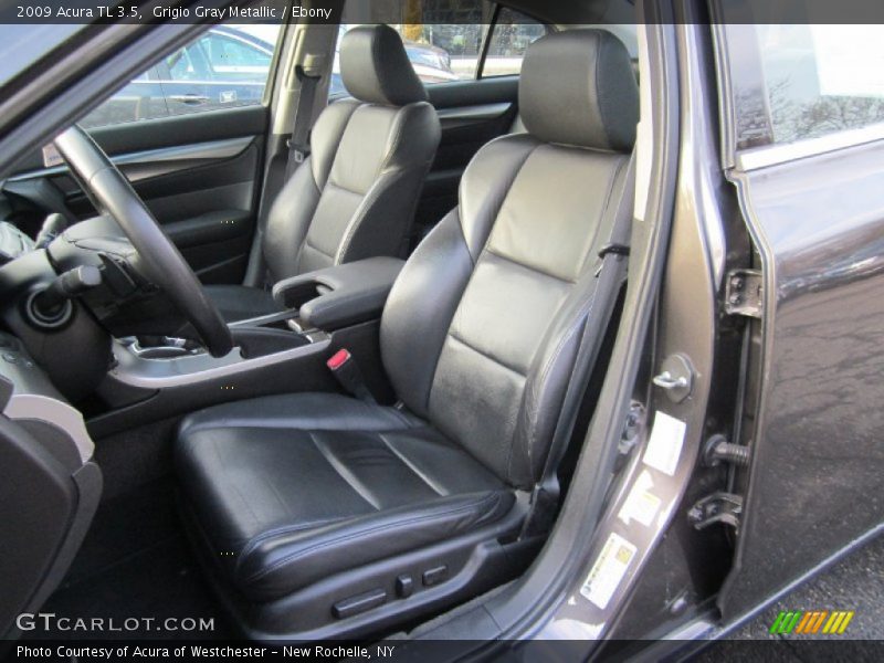 Grigio Gray Metallic / Ebony 2009 Acura TL 3.5