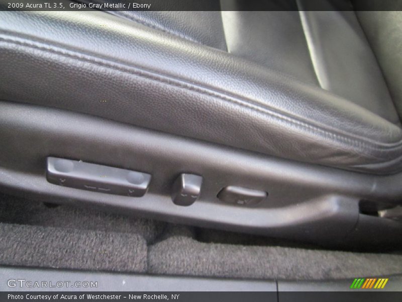 Grigio Gray Metallic / Ebony 2009 Acura TL 3.5