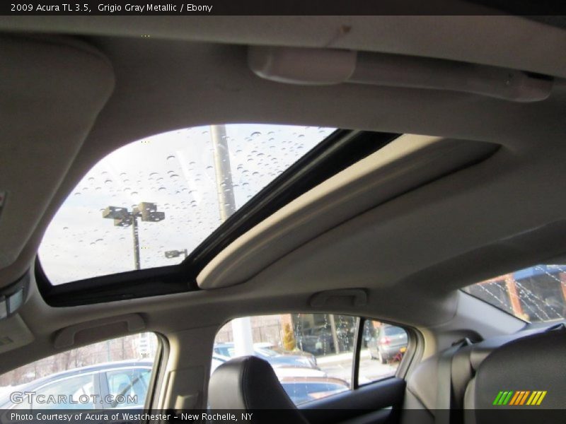 Grigio Gray Metallic / Ebony 2009 Acura TL 3.5