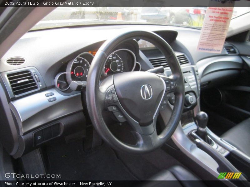 Grigio Gray Metallic / Ebony 2009 Acura TL 3.5
