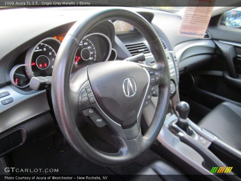 Grigio Gray Metallic / Ebony 2009 Acura TL 3.5