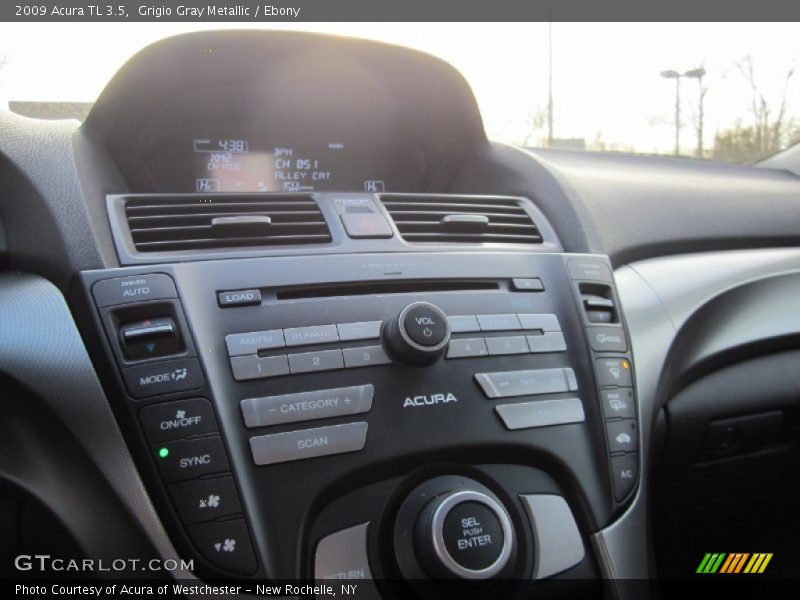 Grigio Gray Metallic / Ebony 2009 Acura TL 3.5