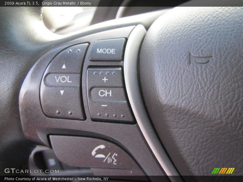 Grigio Gray Metallic / Ebony 2009 Acura TL 3.5