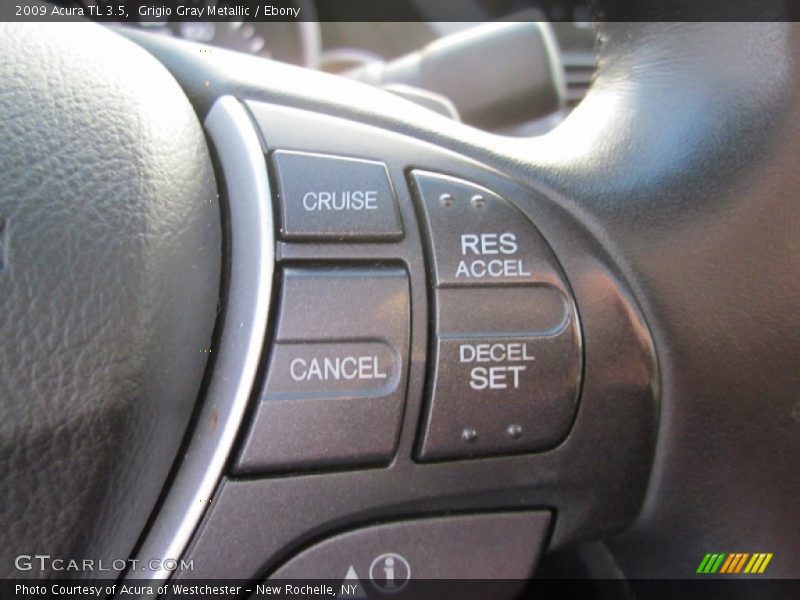 Grigio Gray Metallic / Ebony 2009 Acura TL 3.5