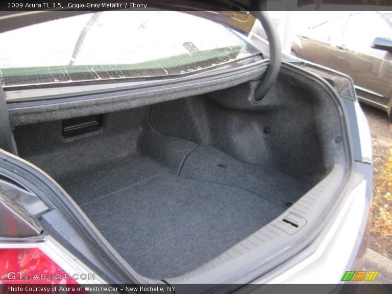 Grigio Gray Metallic / Ebony 2009 Acura TL 3.5