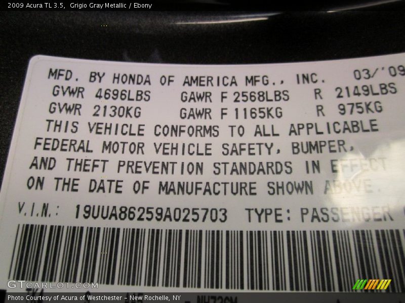 Grigio Gray Metallic / Ebony 2009 Acura TL 3.5