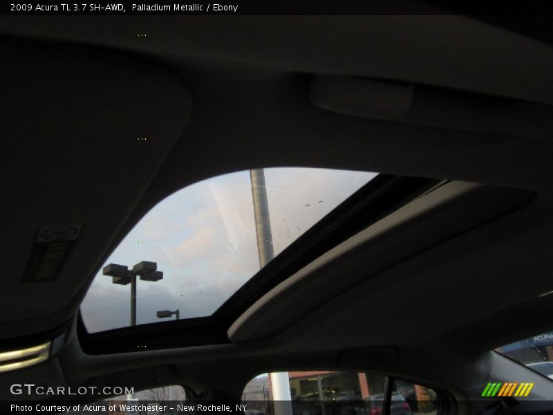 Palladium Metallic / Ebony 2009 Acura TL 3.7 SH-AWD