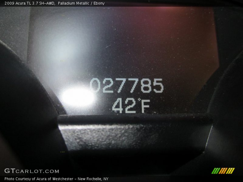 Palladium Metallic / Ebony 2009 Acura TL 3.7 SH-AWD
