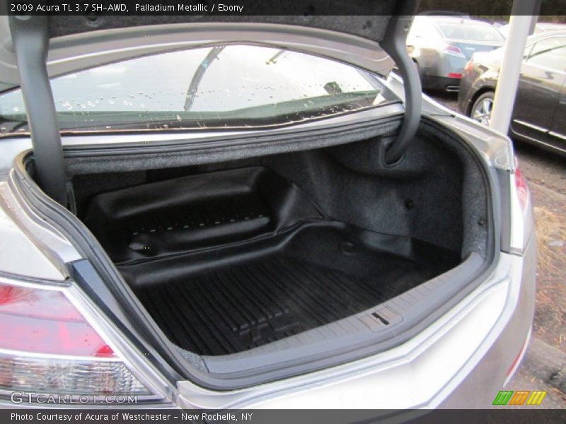 Palladium Metallic / Ebony 2009 Acura TL 3.7 SH-AWD