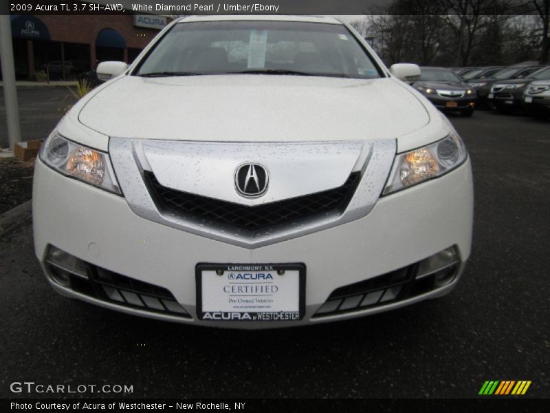 White Diamond Pearl / Umber/Ebony 2009 Acura TL 3.7 SH-AWD