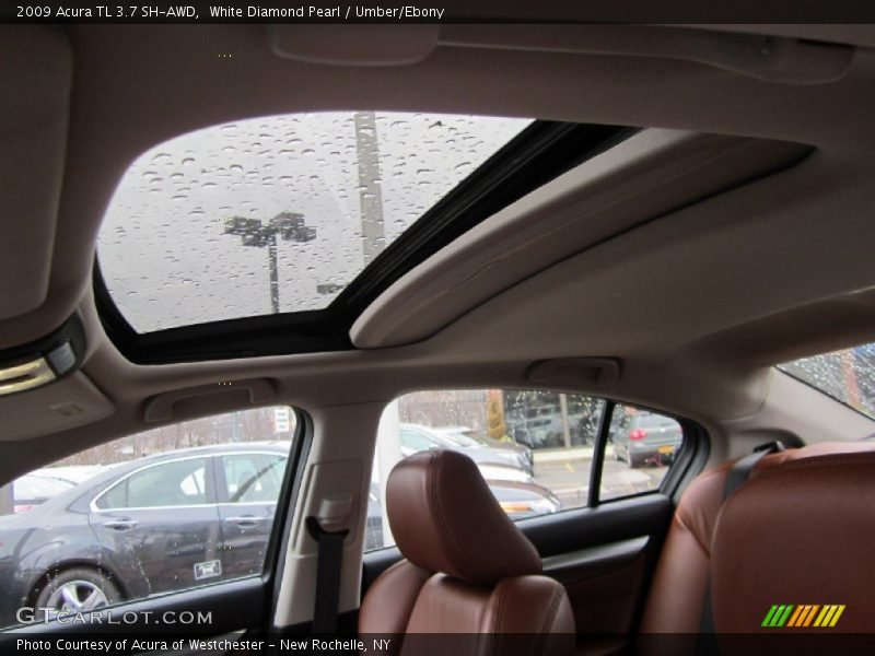 White Diamond Pearl / Umber/Ebony 2009 Acura TL 3.7 SH-AWD