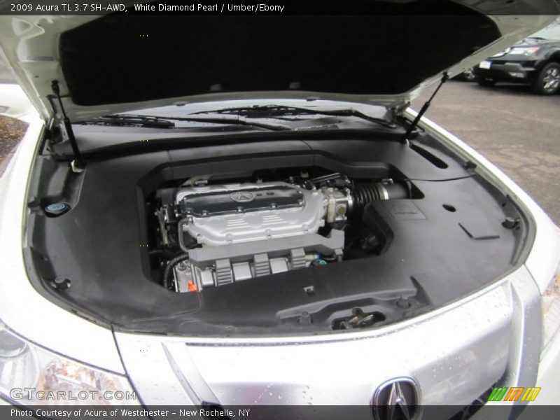 White Diamond Pearl / Umber/Ebony 2009 Acura TL 3.7 SH-AWD