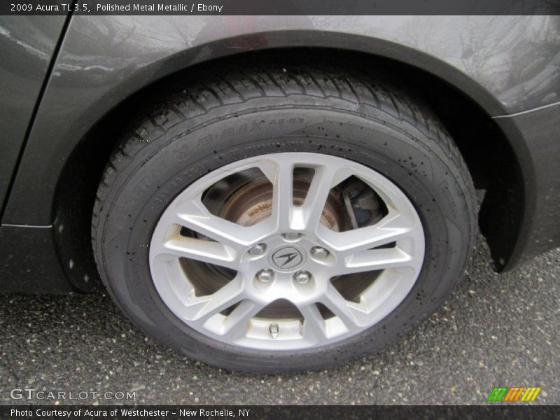 Polished Metal Metallic / Ebony 2009 Acura TL 3.5