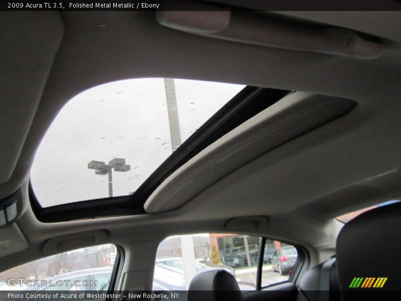 Polished Metal Metallic / Ebony 2009 Acura TL 3.5