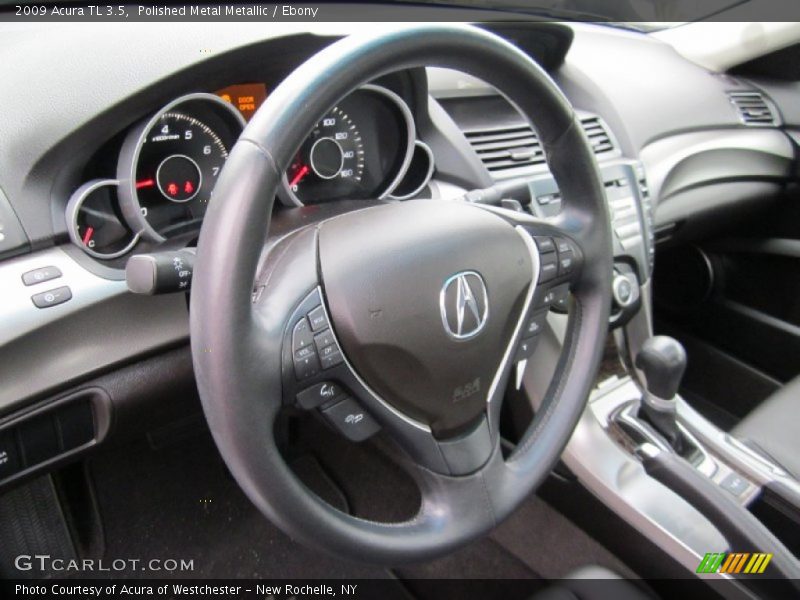 Polished Metal Metallic / Ebony 2009 Acura TL 3.5