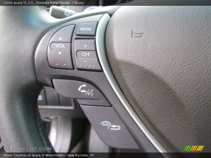 Polished Metal Metallic / Ebony 2009 Acura TL 3.5