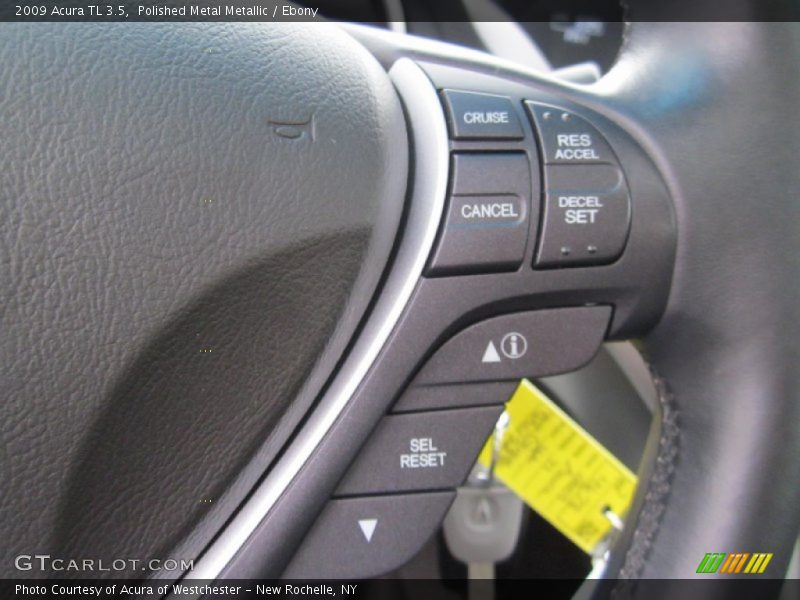 Polished Metal Metallic / Ebony 2009 Acura TL 3.5