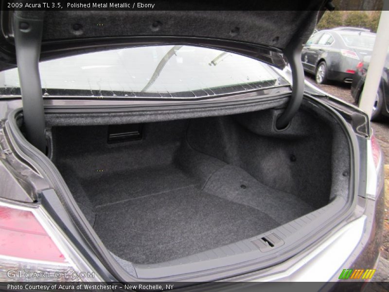 Polished Metal Metallic / Ebony 2009 Acura TL 3.5