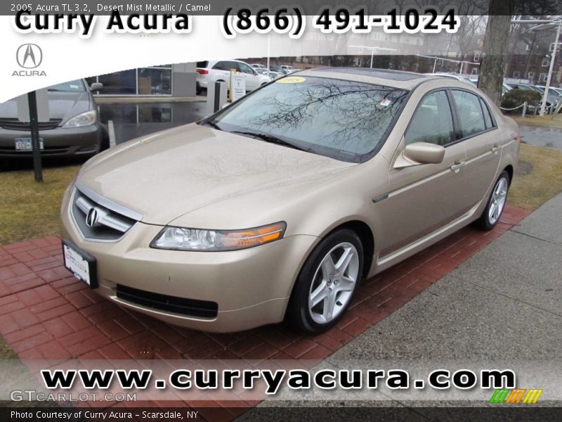 Desert Mist Metallic / Camel 2005 Acura TL 3.2