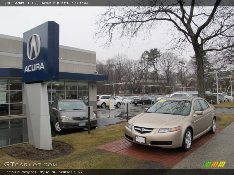 Desert Mist Metallic / Camel 2005 Acura TL 3.2