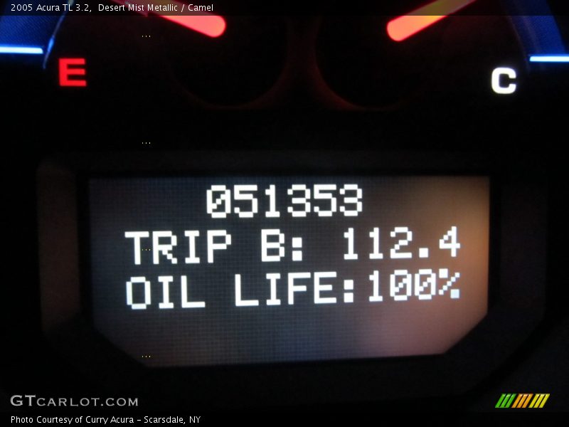 Desert Mist Metallic / Camel 2005 Acura TL 3.2