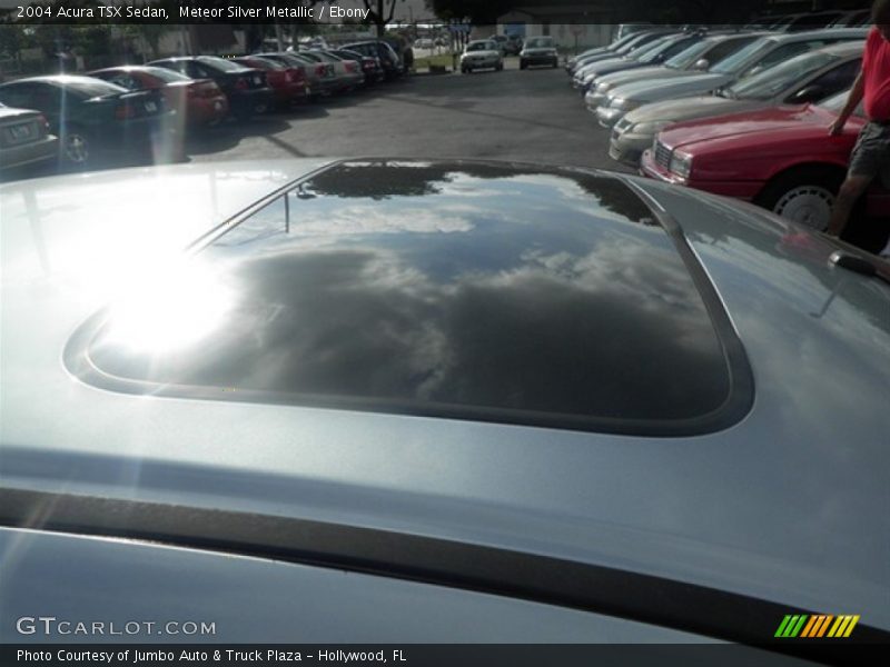 Meteor Silver Metallic / Ebony 2004 Acura TSX Sedan