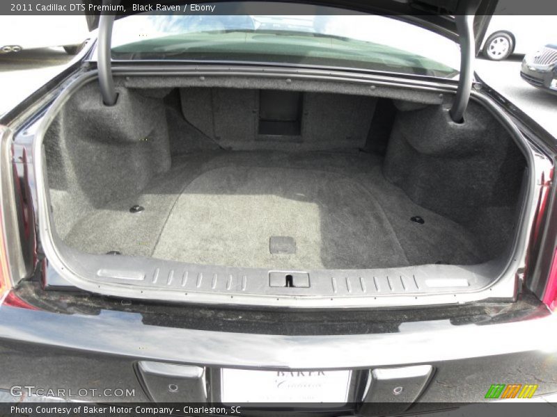  2011 DTS Premium Trunk
