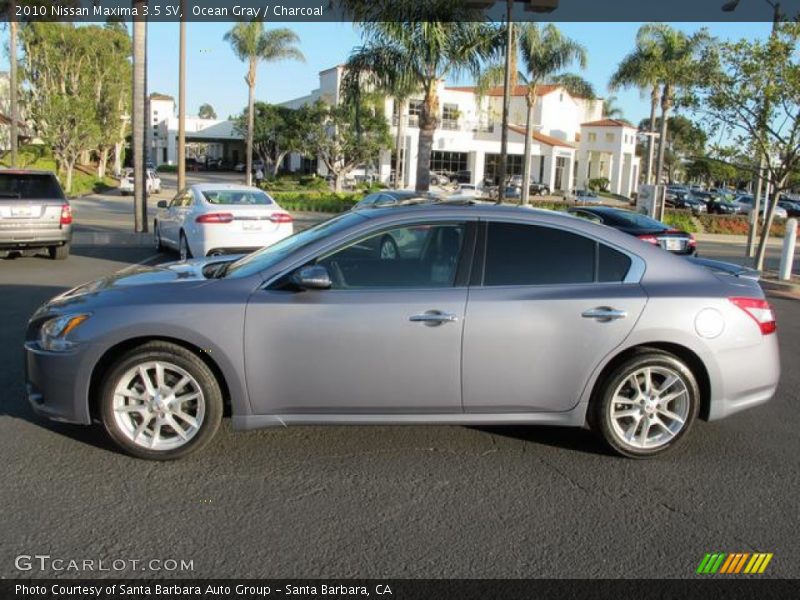 Ocean Gray / Charcoal 2010 Nissan Maxima 3.5 SV