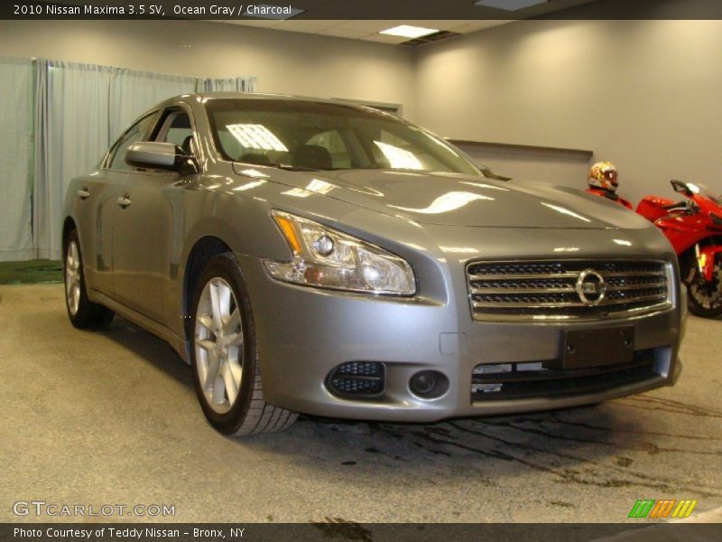 Ocean Gray / Charcoal 2010 Nissan Maxima 3.5 SV