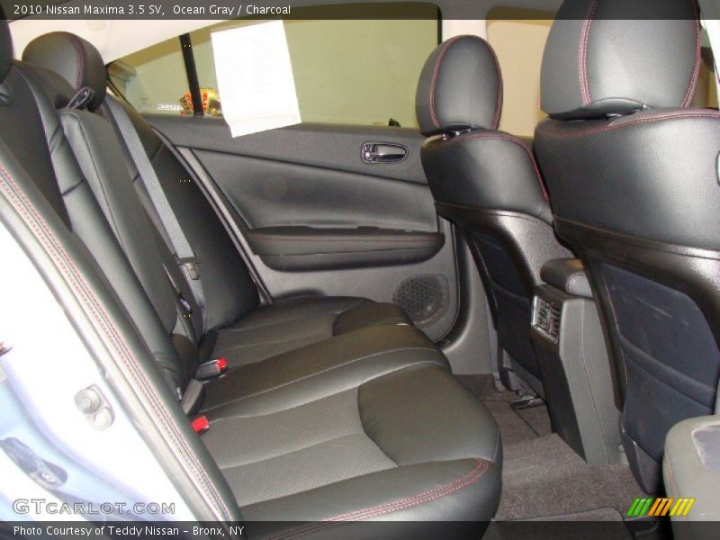 Ocean Gray / Charcoal 2010 Nissan Maxima 3.5 SV