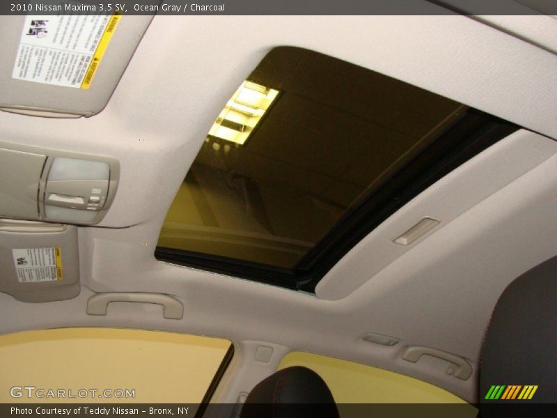 Ocean Gray / Charcoal 2010 Nissan Maxima 3.5 SV