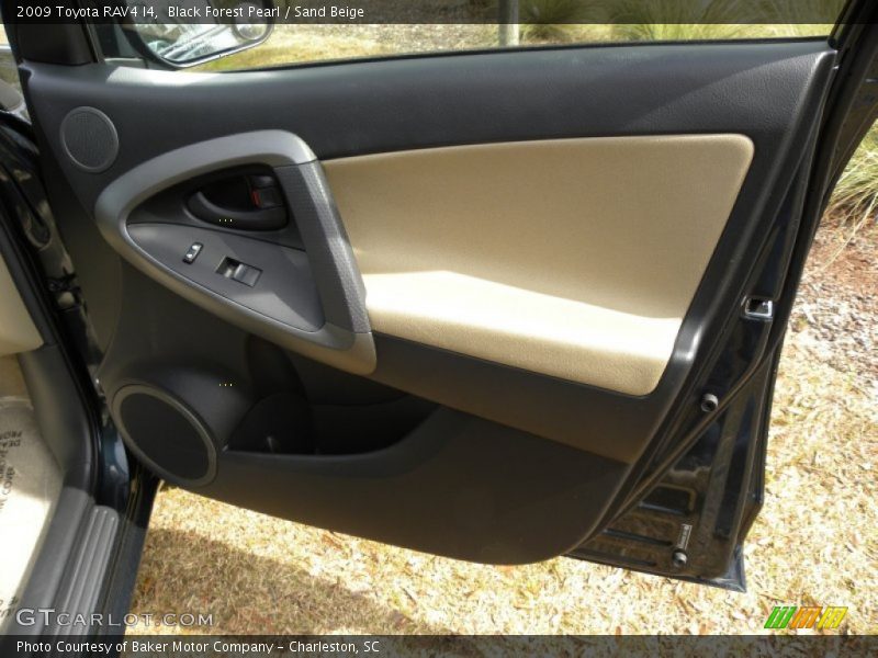 Black Forest Pearl / Sand Beige 2009 Toyota RAV4 I4