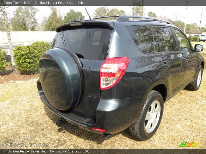 Black Forest Pearl / Sand Beige 2009 Toyota RAV4 I4