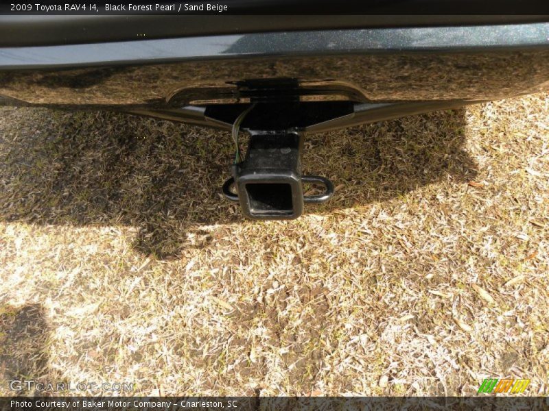Black Forest Pearl / Sand Beige 2009 Toyota RAV4 I4