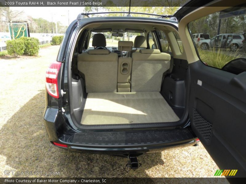 Black Forest Pearl / Sand Beige 2009 Toyota RAV4 I4