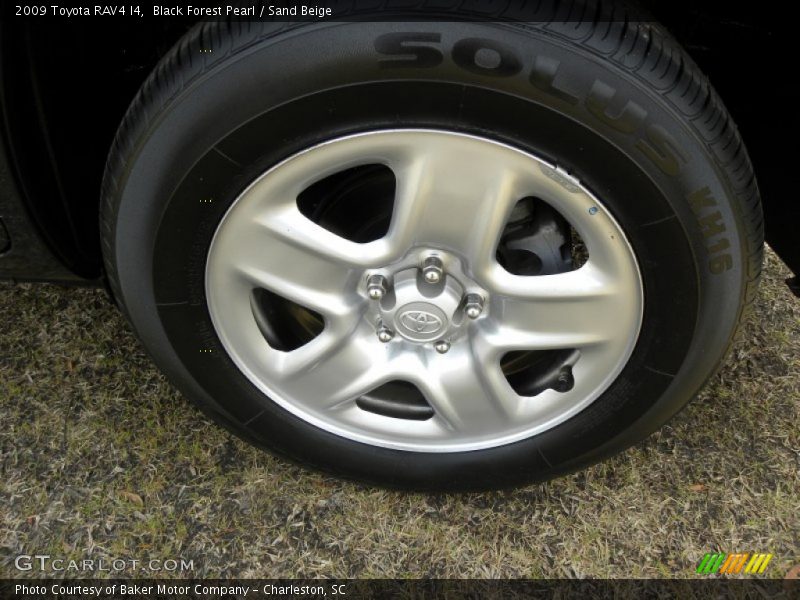 Black Forest Pearl / Sand Beige 2009 Toyota RAV4 I4