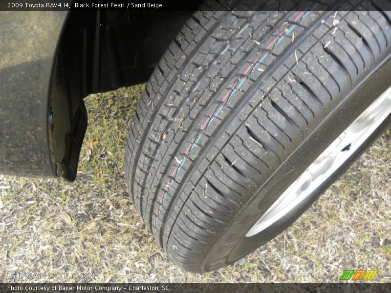 Black Forest Pearl / Sand Beige 2009 Toyota RAV4 I4