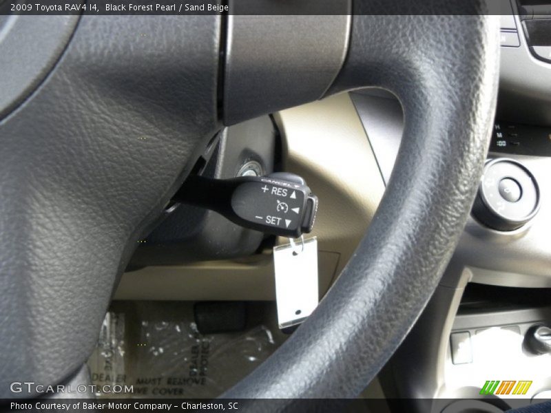 Black Forest Pearl / Sand Beige 2009 Toyota RAV4 I4