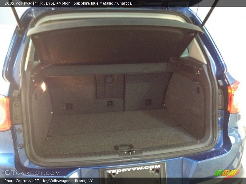 Sapphire Blue Metallic / Charcoal 2009 Volkswagen Tiguan SE 4Motion