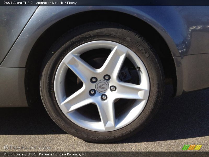Anthracite Metallic / Ebony 2004 Acura TL 3.2